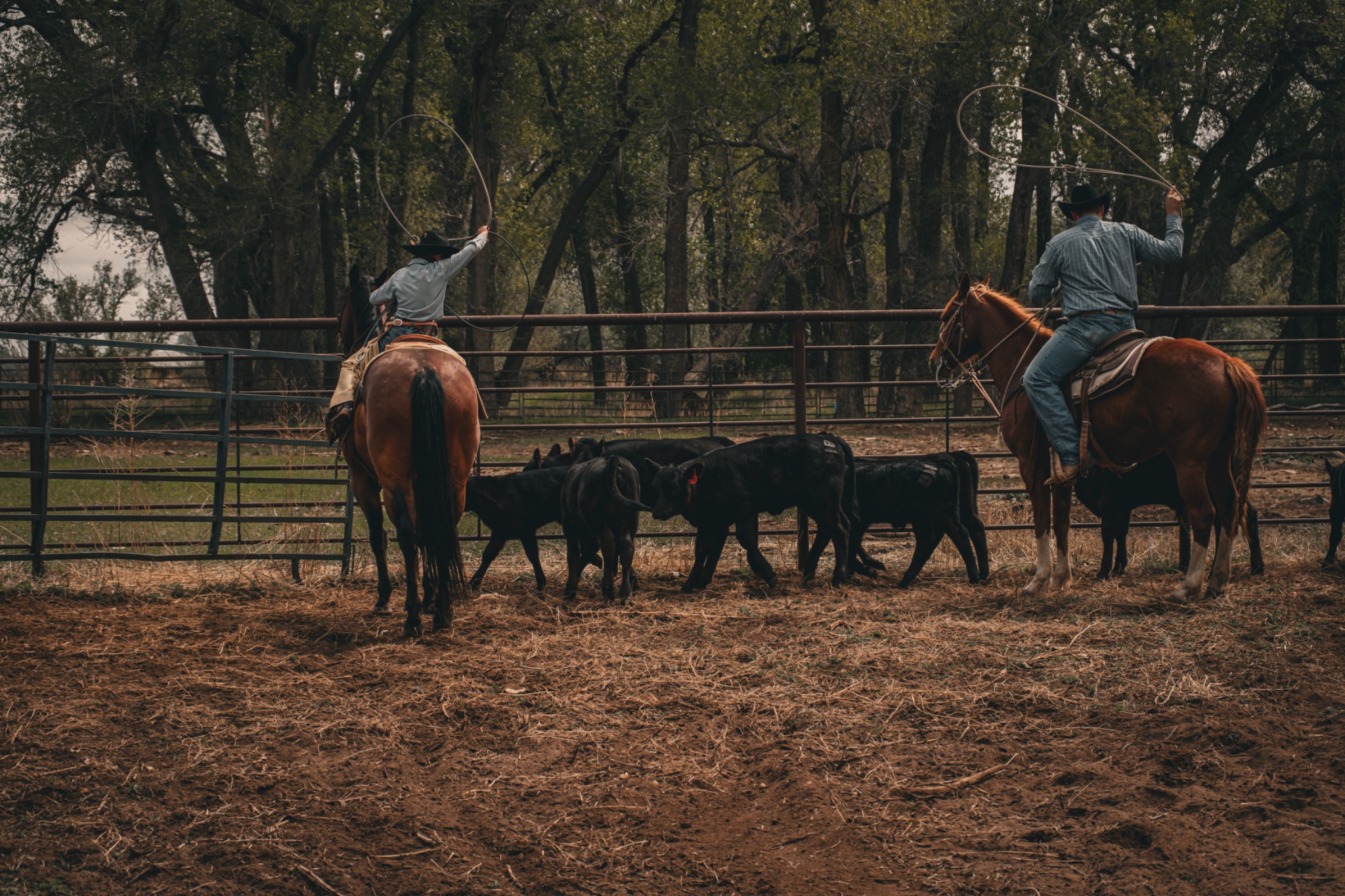 Southern Colorado ranch photography